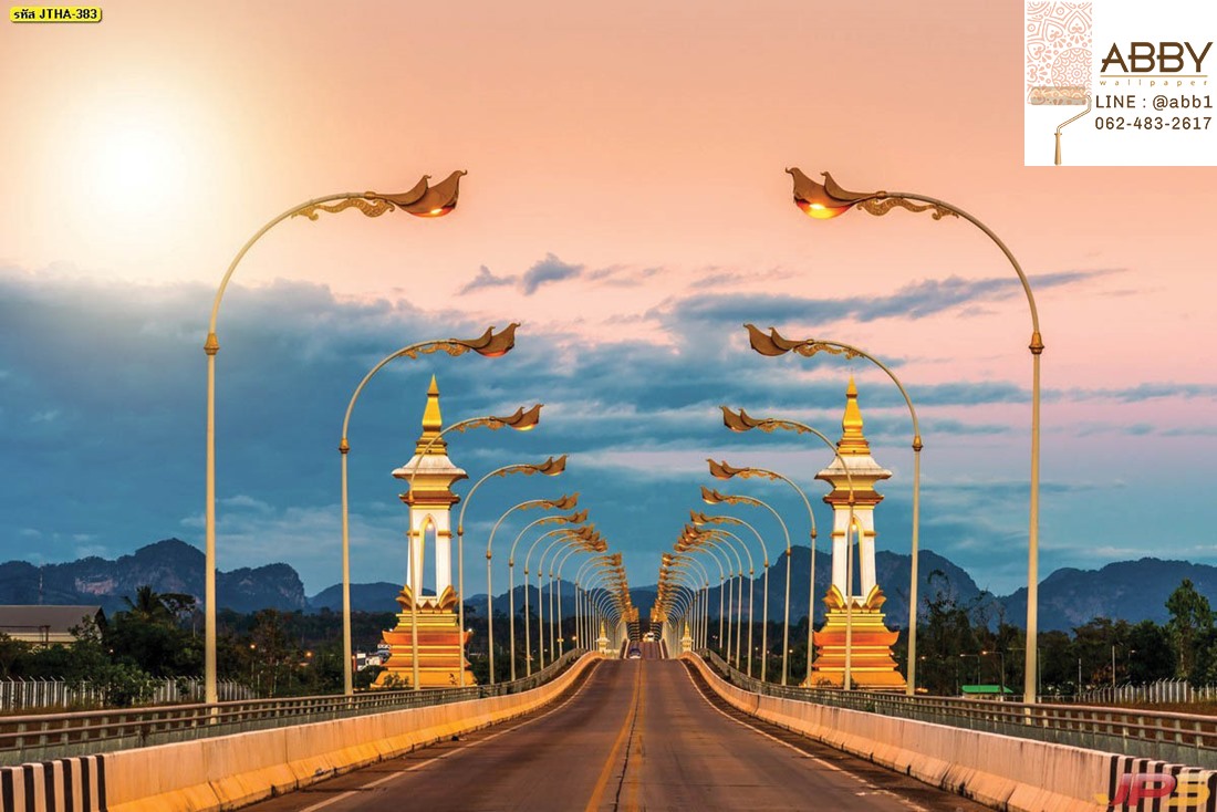 ภาพสะพานมิตรภาพไทยลาวนครพนม