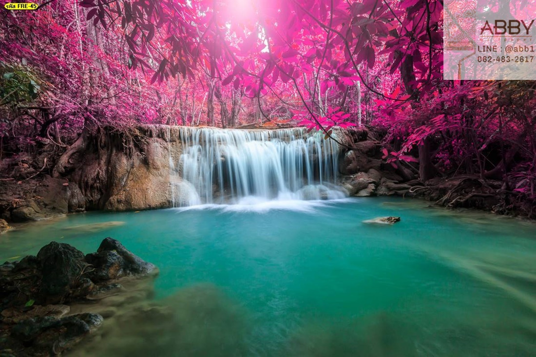 วอลเปเปอร์ลายธรรมชาติน้ำตกในป่าสีชมพู