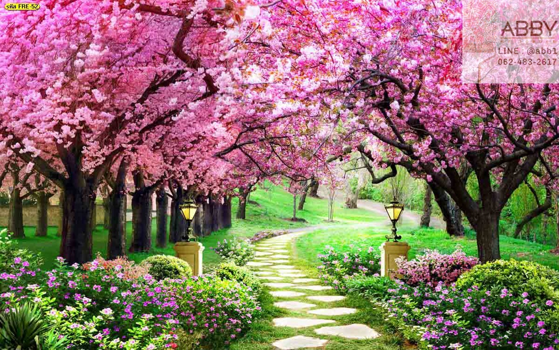 วอลล์เปเปอร์ป่าต้นไม้สีชมพูที่สวยงาม
