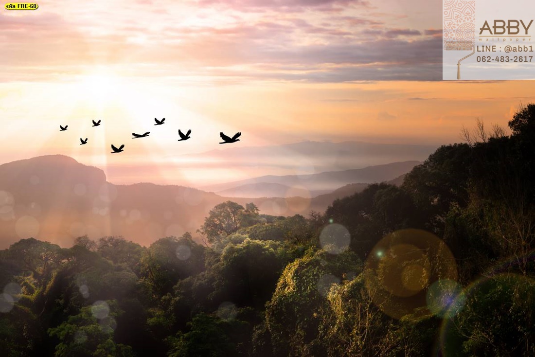 ภาพวิวธรรมชาติฝูงนกบินเหนือภูเขาสูงตอนพระอาทิตย์ขึ้น