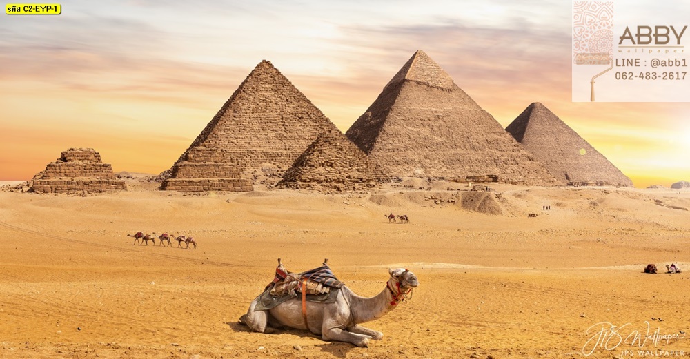 วอลเปเปอร์ที่เที่ยวพีรามิดประเทศอียิปต์