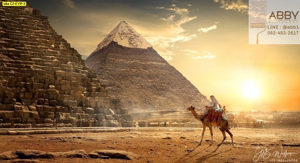วอลเปเปอร์ที่เที่ยวพีรามิดกลางทะเลทรายในประเทศอียิปต์