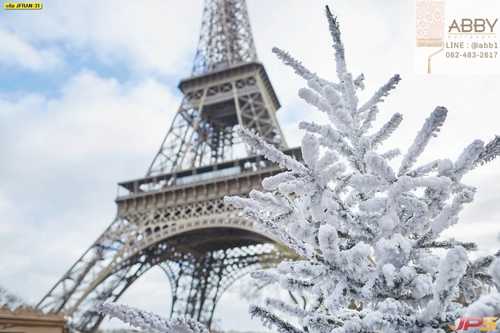 ภาพวิวต้นคริสต์มาสปกคลุมไปด้วยหิมะใกล้หอไอเฟลในกรุงปารีส