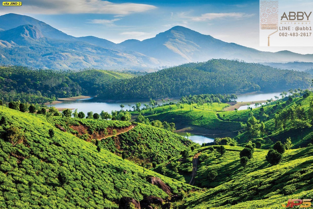 วอลเปเปอร์สวนชาและแม่น้ำในเนินเขาอินเดีย