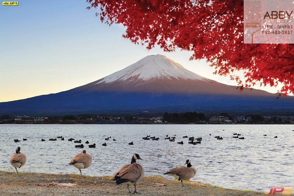วอลเปเปอร์ทิวทัศน์ภูเขาไฟฟูจิจากทะเลสาบคาวากุจิโกะ