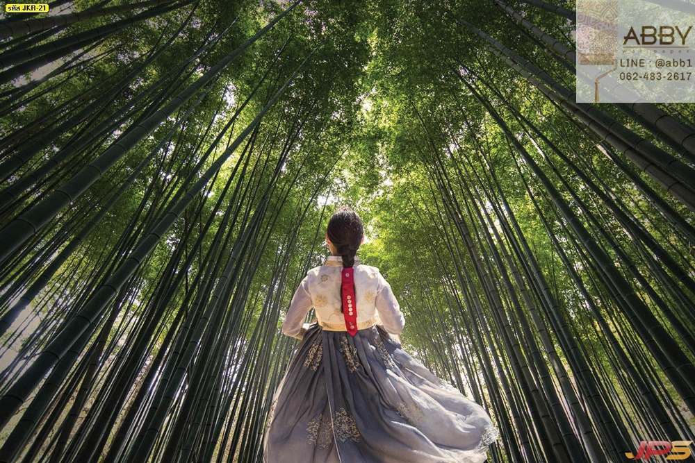 วอลเปเปอร์ภาพสาวเกาหลีเดินบนเส้นทางในป่าไผ่