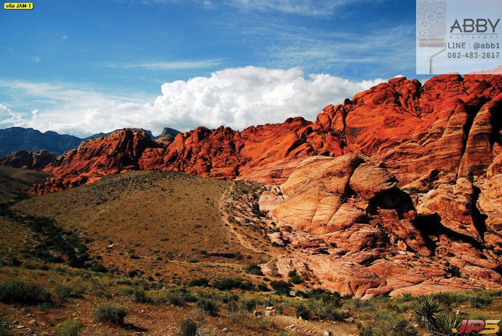 ภาพวิวหินแดงแคนยอนรัฐเนวาดา
