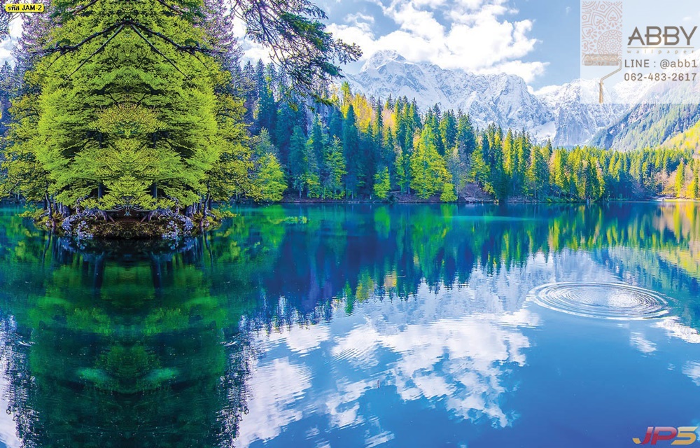 ภาพวิวภูมิทัศน์แม่น้ำภูเขาป่าเขียวขจีในสหรัฐอเมริกา