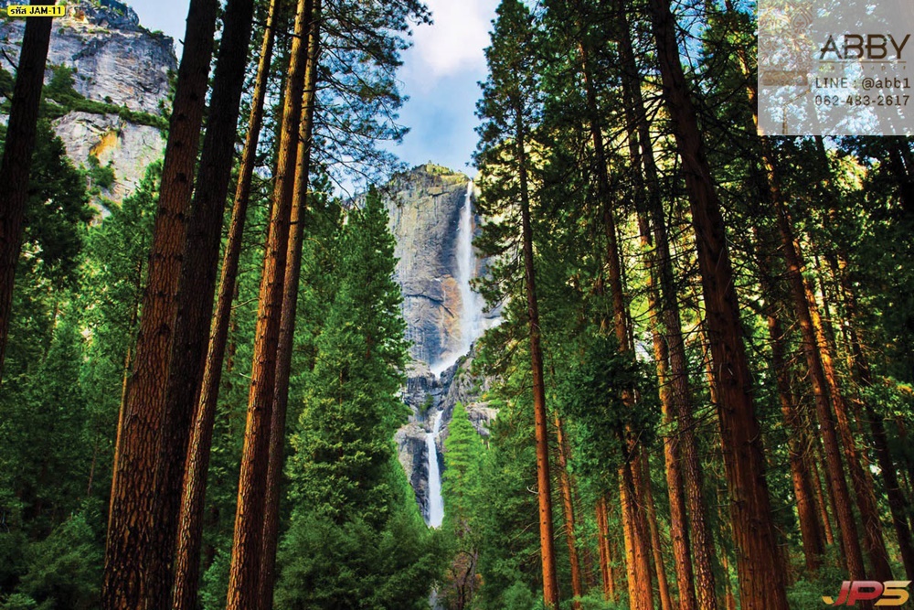 ภาพวิวน้ำตกโยเซมิตีในอุทยานแห่งชาติรัฐแคลิฟอร์เนีย